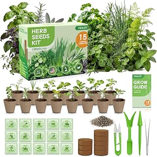 Fruivity 15-Herb Indoor Garden Kit: 12,800+ Non-GMO Seeds, Pots, Soil & Guide - Windowsill Starter for Basil, Mint, Parsley & More