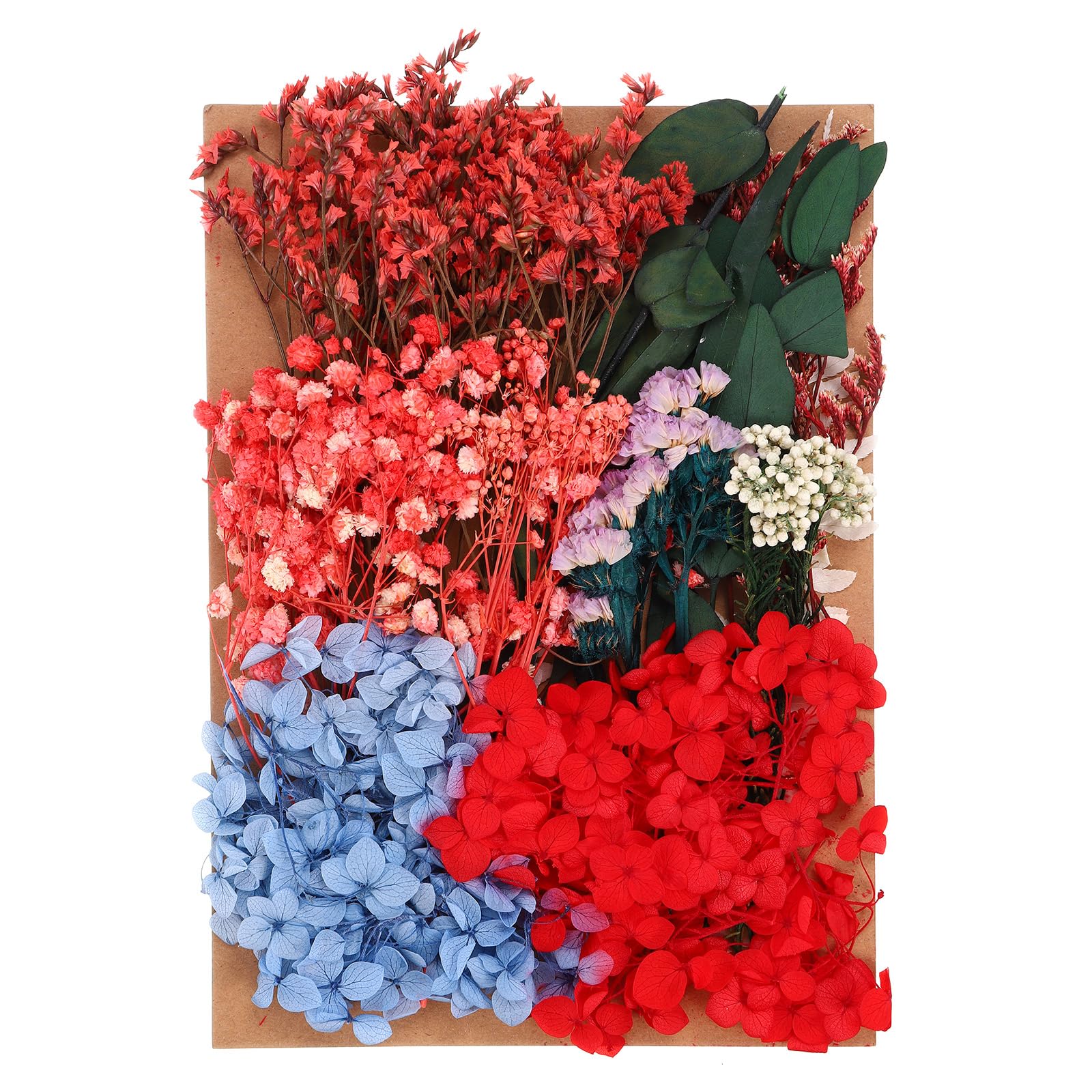 PATIKIL Multicolor Dried Flowers for Craft Bulk Pressed Flowers Leaves for Resin Soap Candle Scrapbooking DIY Gift Papermaking