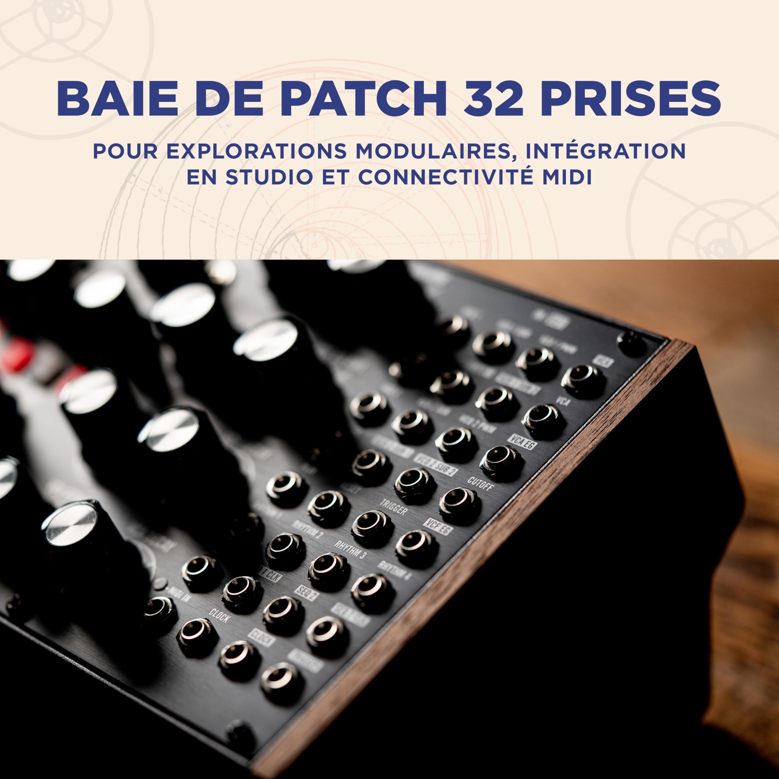 MOOG Subharmonicon Synthétiseur Polyrythmique Analogique Semi-Modulaire avec Deux Séquenceurs, MIDI et Baie de Patch