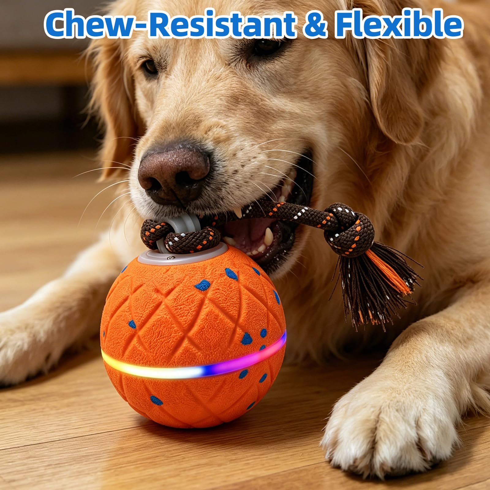 Pelota Interactiva para Perros - Wicked Ball Rolly con Cuerda y Ladridos, Juguete Interactivo Inteligente para Perros con 2 Modos de Juego, E-TPU, USB-C Recargable, Luces RGB, Adecuado para Perros