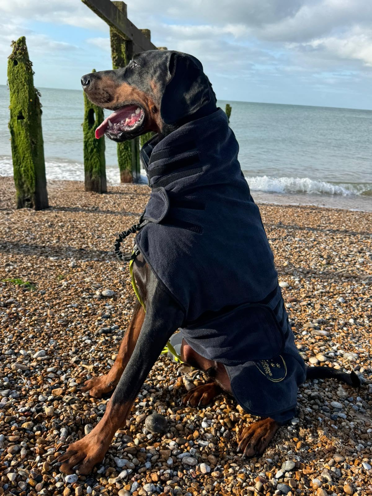 Urban Paws Collective® Luxury Dog Drying Coat, Drying Robe, Ultra Absorbent Microfibre Dog Bathrobe, Quick Dry, Covers Ears - Image 2