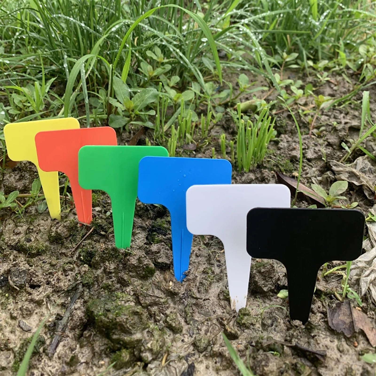 12 plastikowych etykiet na rośliny typu T | Wielokolorowe opakowanie 12 sztuk, 10x6 cm, wytrzymałe, wodoodporne, do markerów ogrodowych(White)