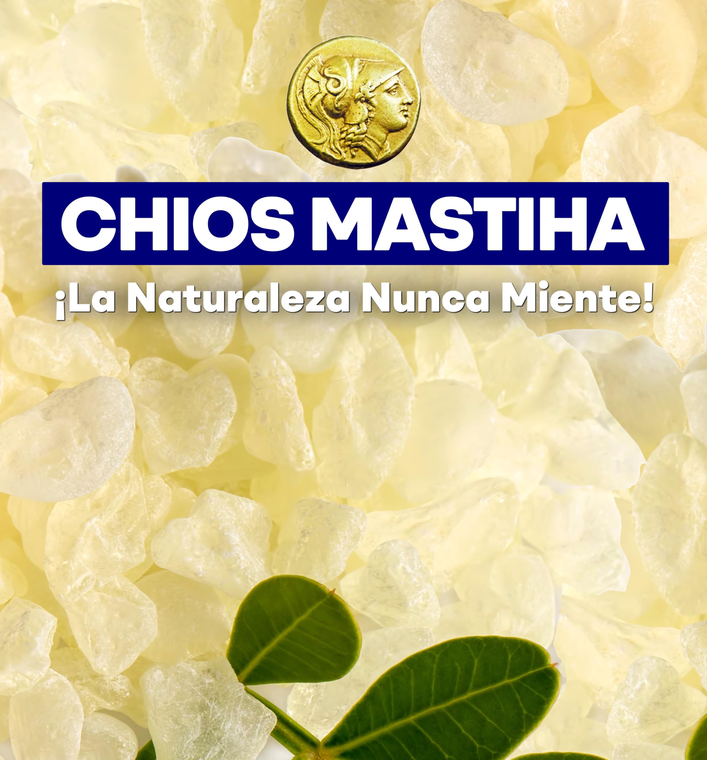 Nabür - 25gr Masilla de Chios DOP, Mastic de Quíos 100% Natural (Medium Grade), Resina Pura de Grecia | Chicle Natural Sin Azúcar