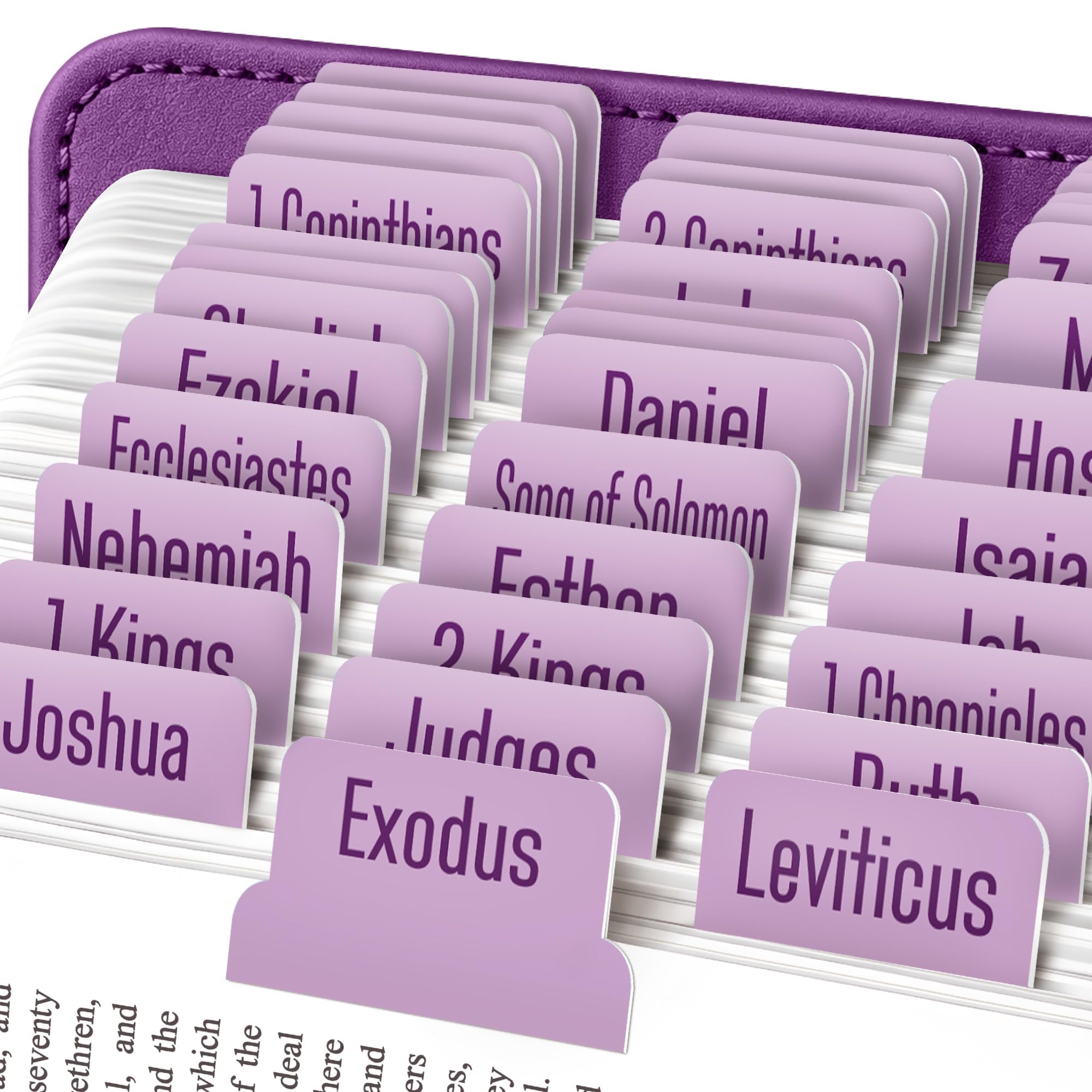 EssexWares - Lilac Bible Tabs for Old and New Testament, 80 Large Print Tabs for Bible Study, Water-Resistant and Durable Index Tabs for Women and Men - 1.7" Wide