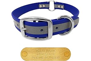 Personalized Dog Collar with Engraved Name Plate