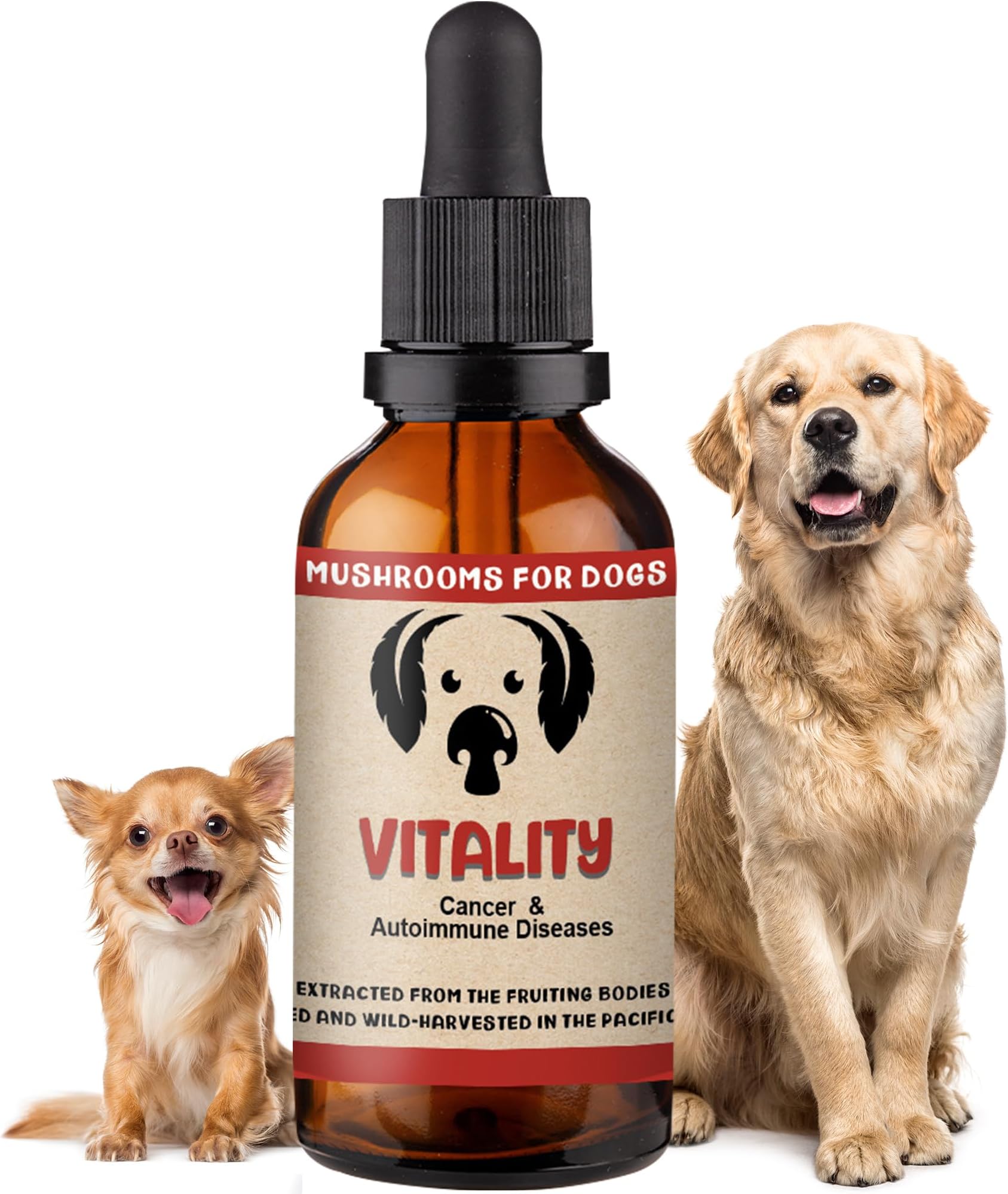 MycoDog Vitality Mushroom Extract & Adaptogen Tincture