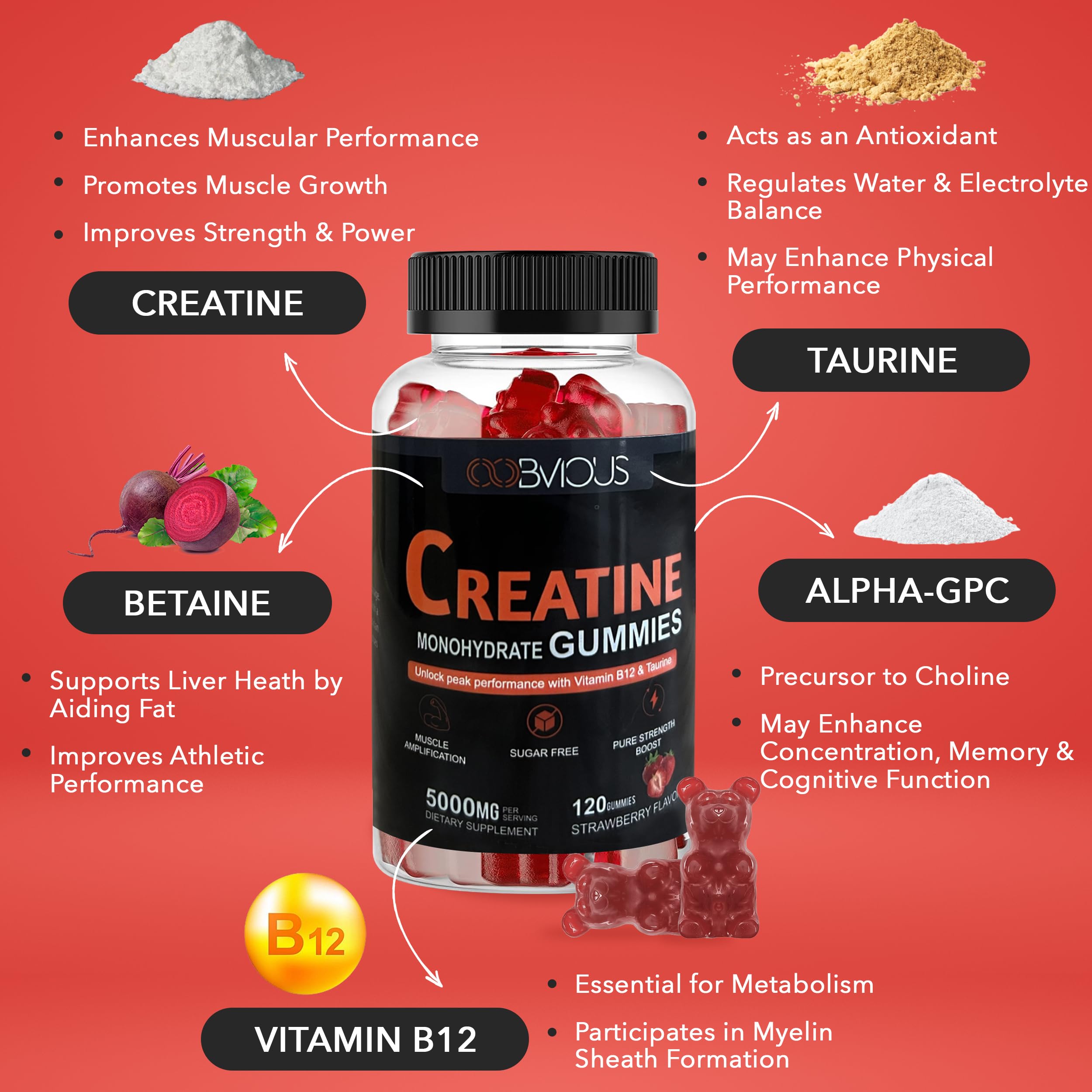 Creatine Monohydrate Gummies 240 for Men & Women- 5g, Sugar-Free Pre-Workout Gummy W/L-Taurine, Betaine Anhydrous, Alpha GPC, Vitamin B12, Chewable Gummies for Muscle Strength & Energy Boost (2 Pack)