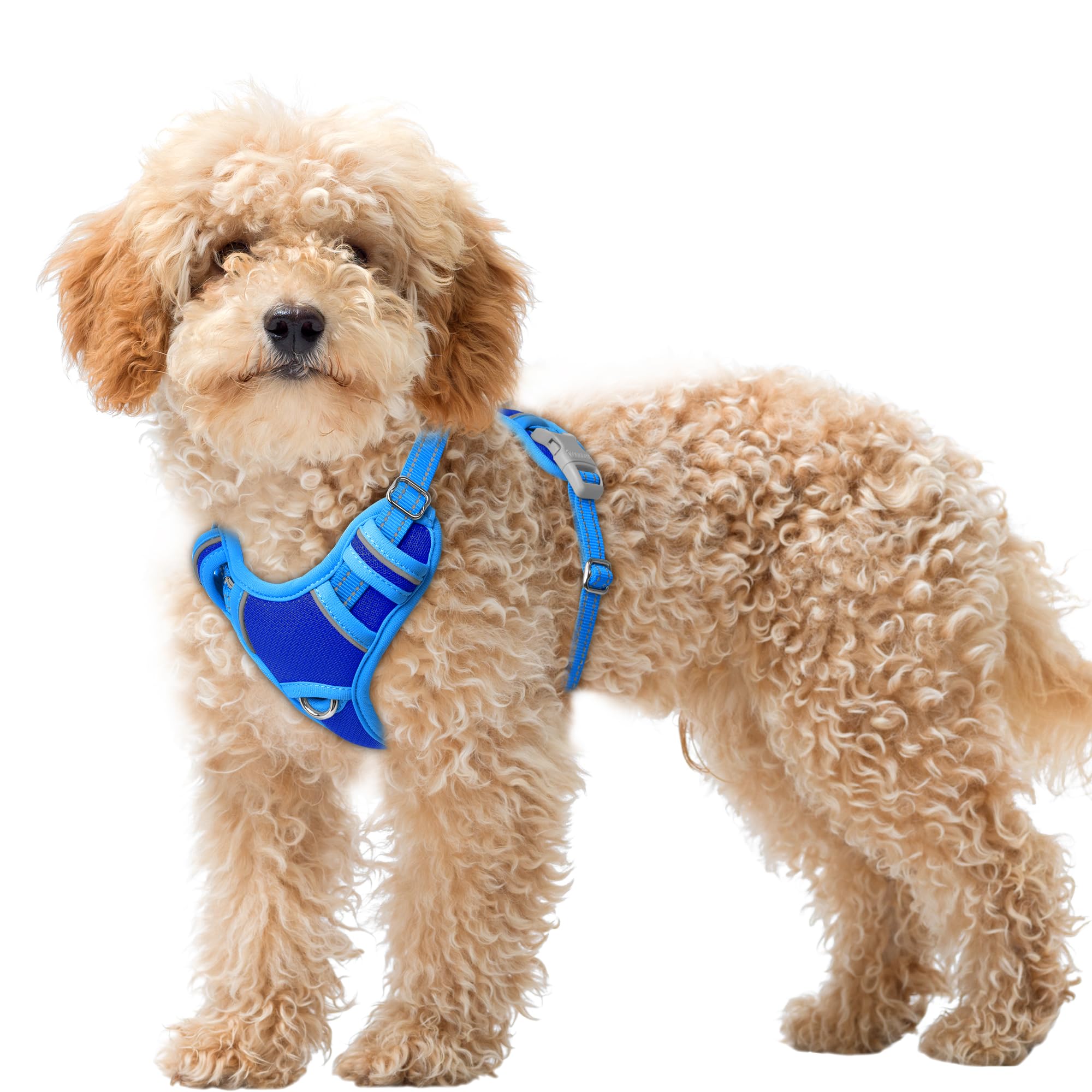 BARKBAY No Pull Dog Harness Large Reflective Dog Harness with Front Clip and Easy Control Handle for Walking Training Running with ID tag Pocket(Sapphire Blue & Blue,XS)