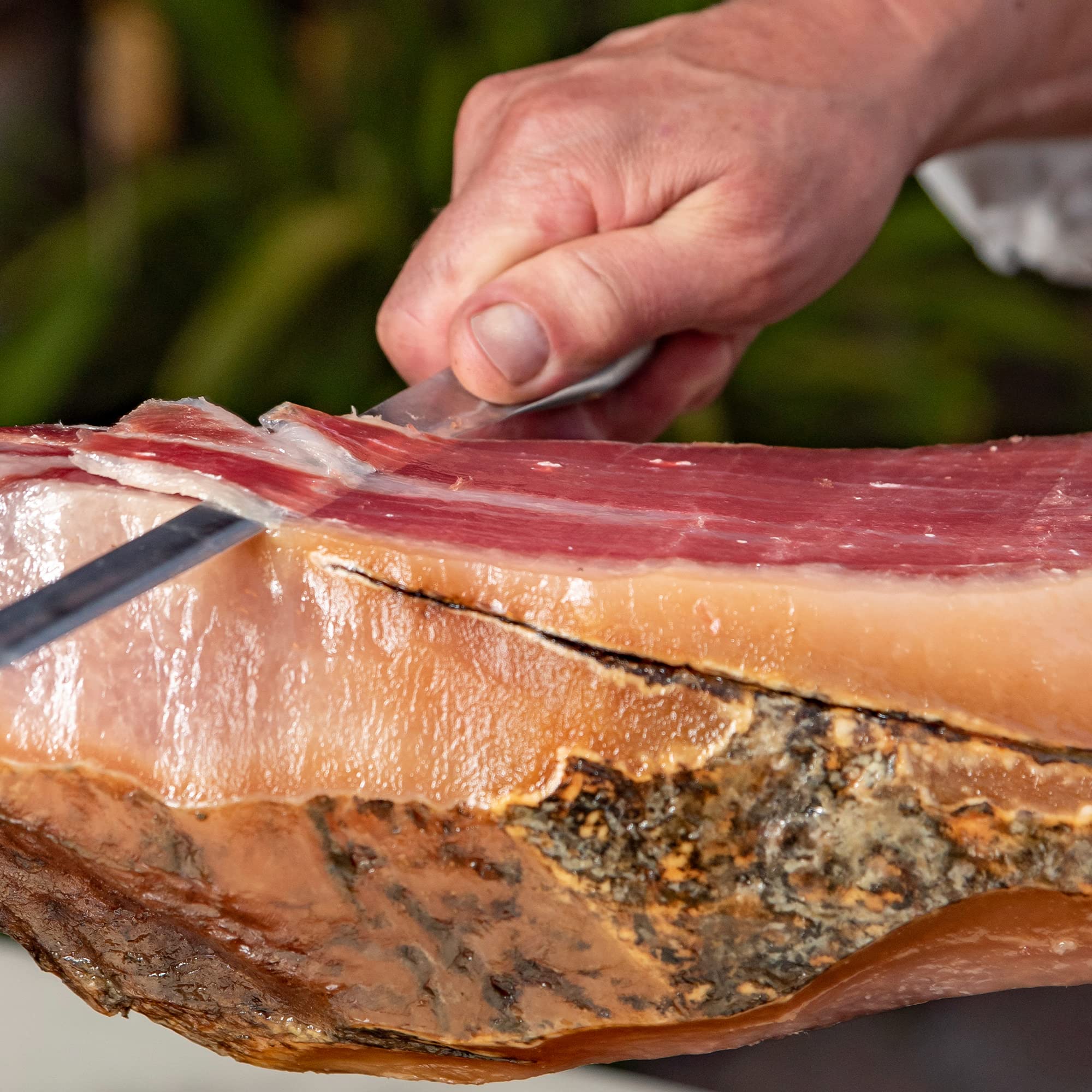 Jamonprive Jamón Ibérico Paleta (Pata Negra) de Cebo de Campo 4 - 4.5 Kg