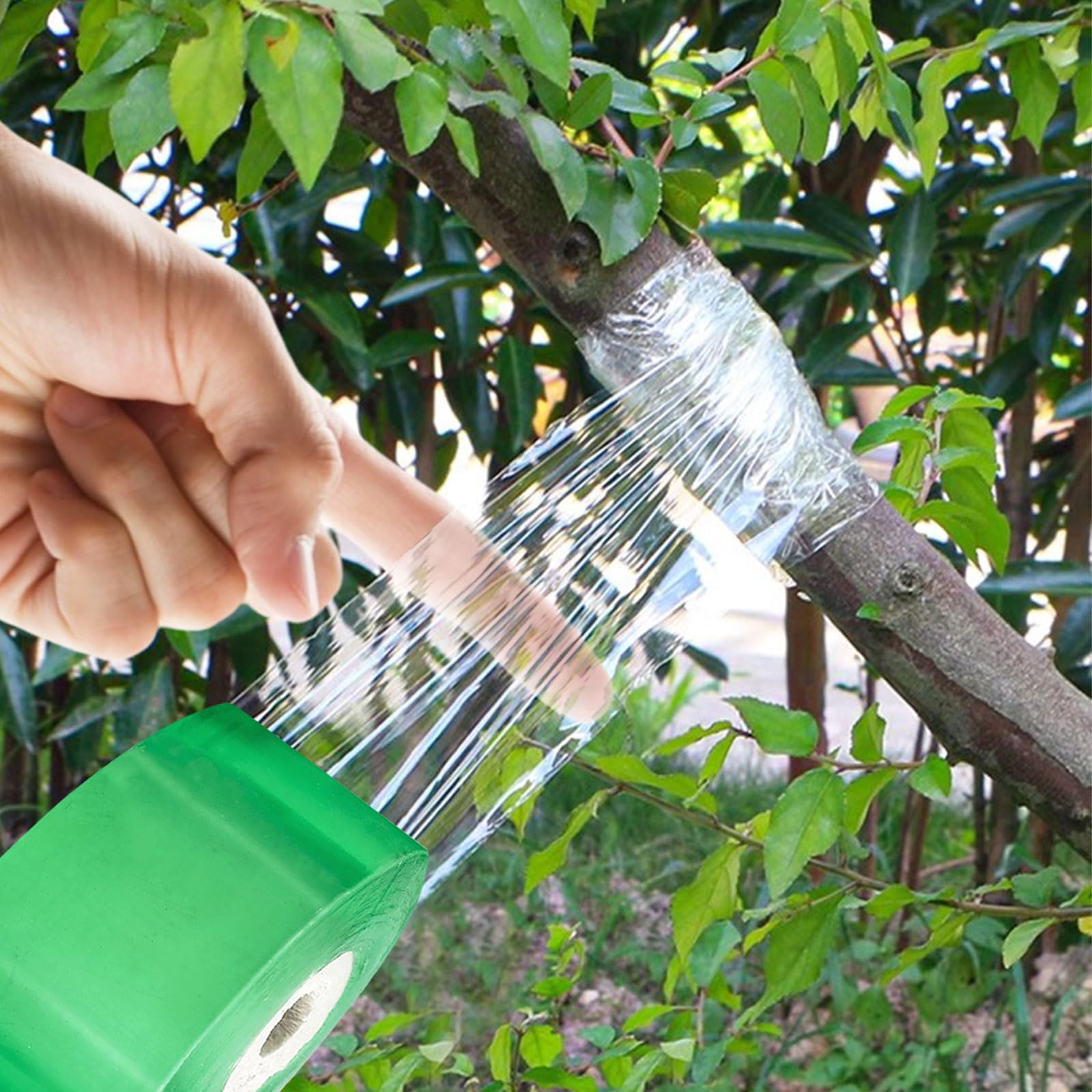 PIANTA DA GIARDINO con nastro estensibile per innesto di alberi da