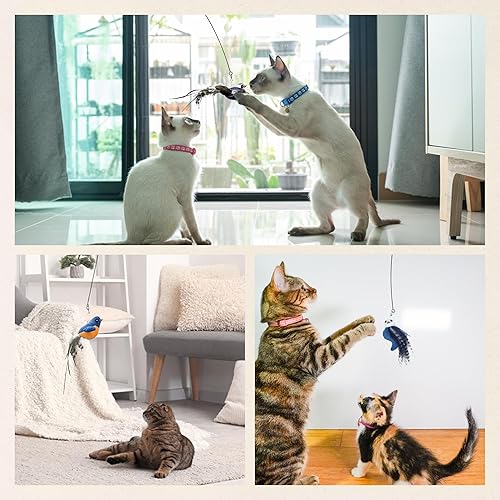 Miniatura 2 de Chirping Bird - Cabezales de repuesto para juguetes de gatos, juego de 3, sonidos realistas de pájaros que llaman, diseños de plumas vibrantes