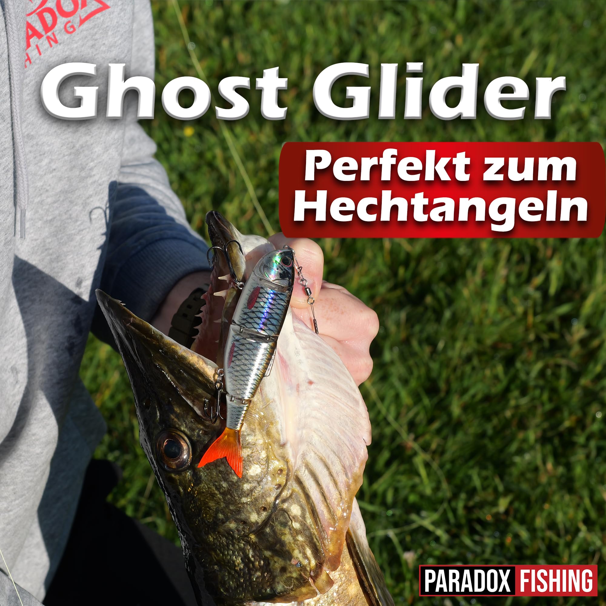 Paradox Fishing Premium Wobbler Sets für Hecht und Zander I 4 Stück mit Box I Hecht-Köder Zander-Köder Barschköder