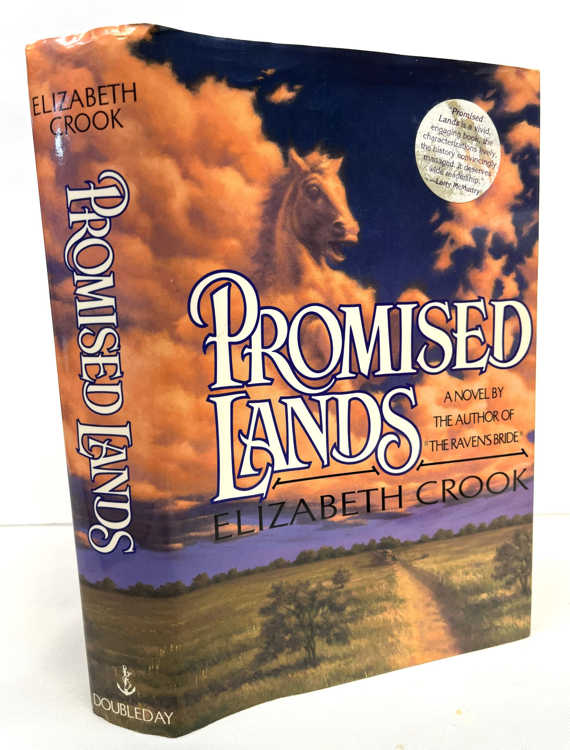 Promised Lands: A Novel of the Texas Rebellion
