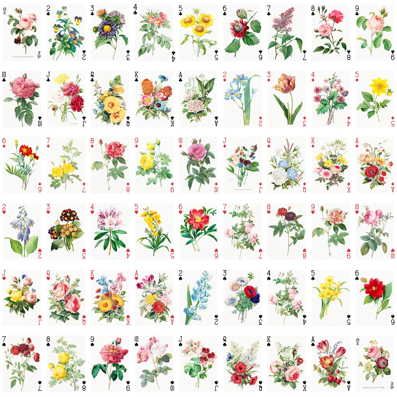 Amazon.com: FLONZGIFT Flowers Roses Playing Cards (Poker Deck 54 Cards All  Different) Vintage Graden Flowers Roses Wildflowers Engraving Painting by  Redoute : Toys & Games