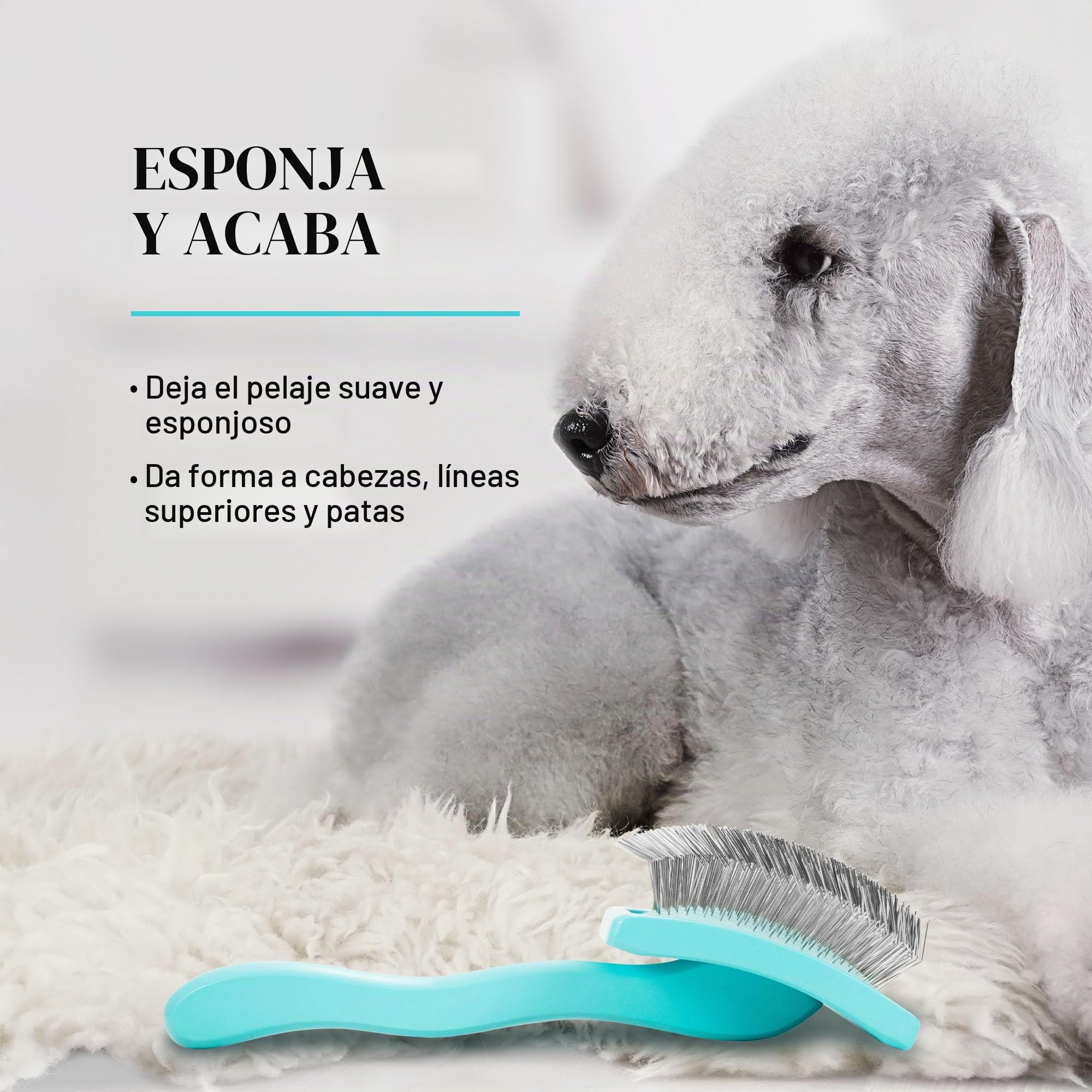 Chris Christensen Big G - Cepillo para perros (Goldendoodles, labradoodles, caniches), novio como un profesional, estilo desenredante de pelusas, ahorra tiempo y energía, verde azulado, mediano