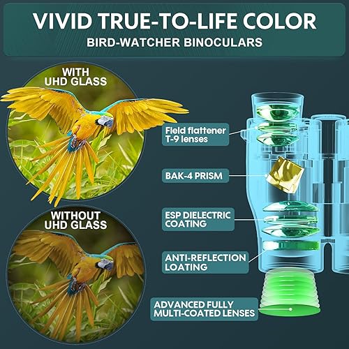 Miniatura 4 de Binoculares compactos de 16 x 32 para adultos y niños, prismáticos pequeños de alta potencia con visión de poca luz, binoculares ligeros de fácil