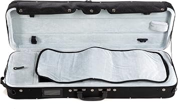 Gewa Violin case (309103)