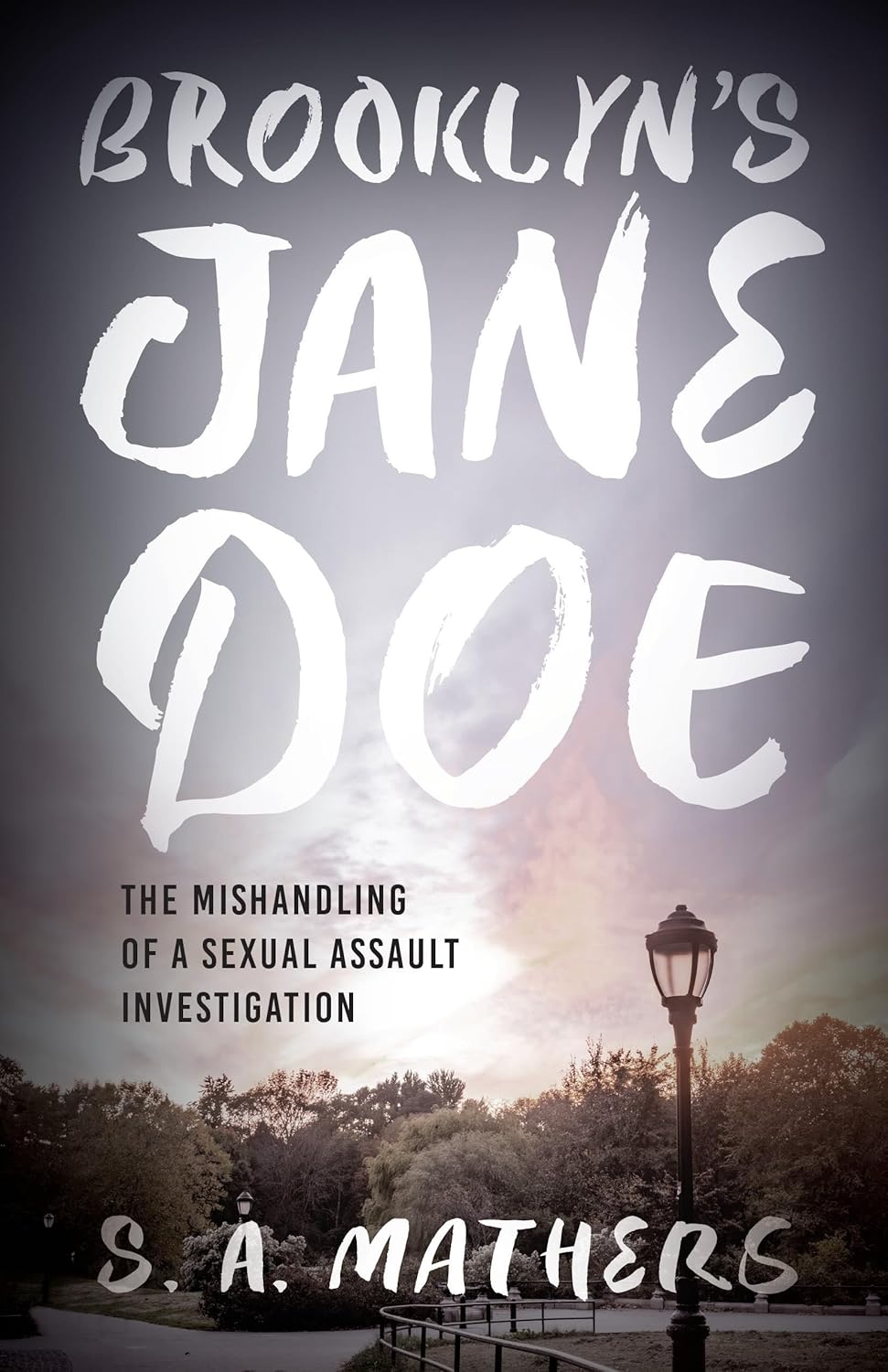 Brooklyn's Jane Doe: The Mishandling of a Sexual Assault Investigation      Hardcover – September 4, 2025