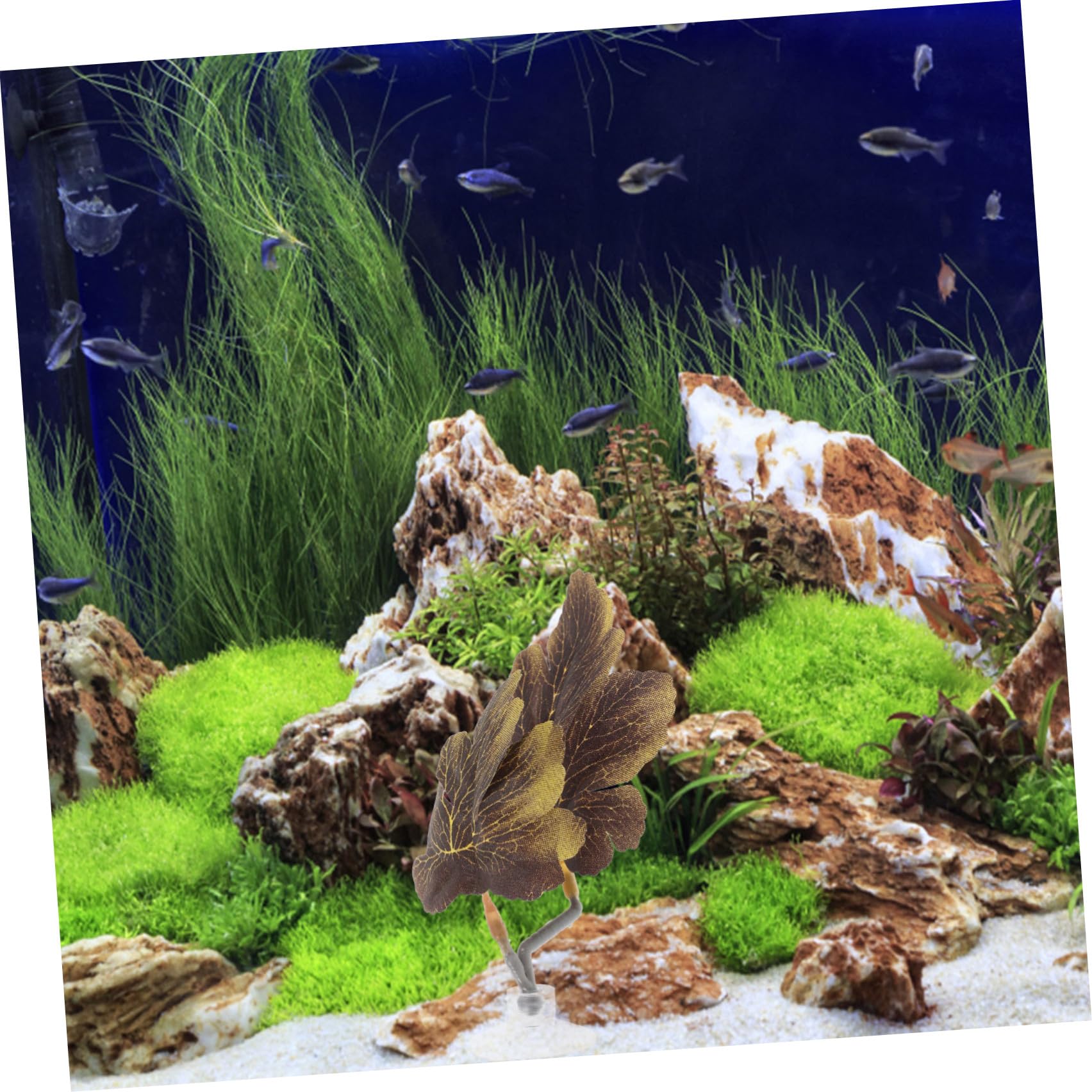 Beaupretty Ornement De Réservoir pour Betta De Imitant Plantes Aquatiques avec Ventouse pour Aquarium Décoratif Et Sécurité Poissons