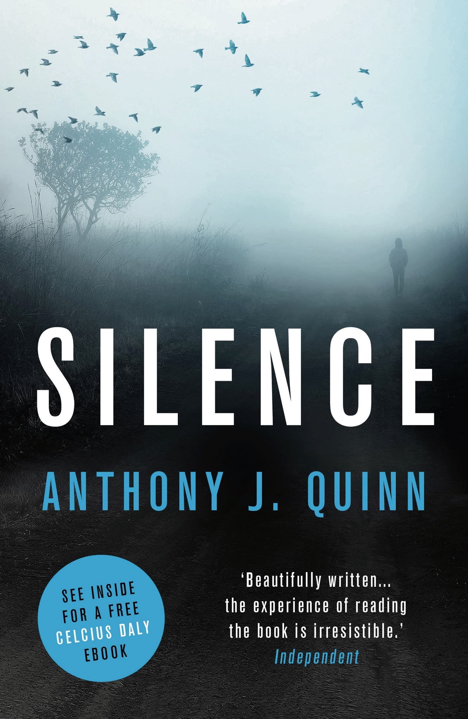 Silence by Anthony J. Quinn PAPERBACK 9781784971250