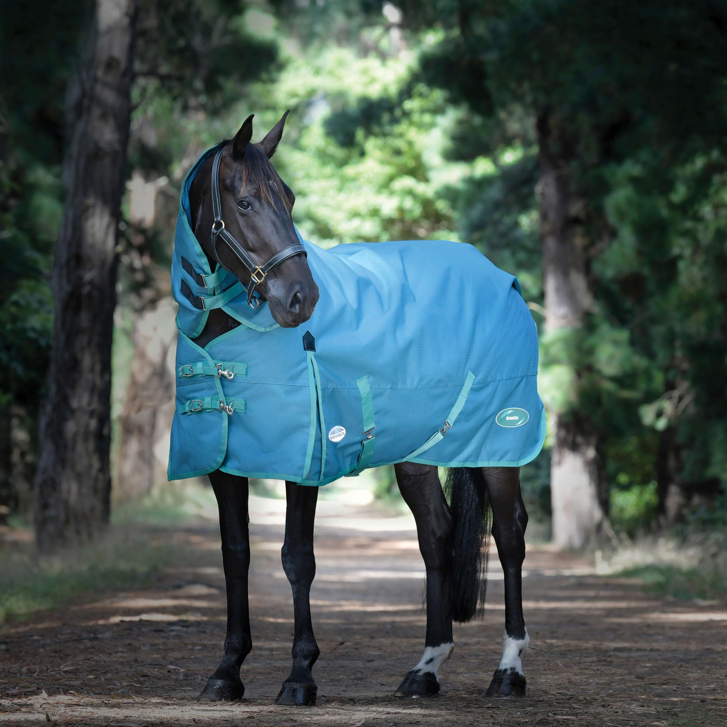 WeatherBeeta Green-Tec 1200D Detach-A-Neck Heavy Horse Blanket, Dragonfly Blue/Bottle Green, 75"