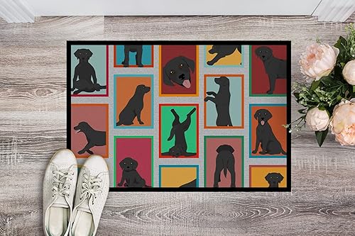 Vista 478 de Caroline's Treasures MLM1087MAT - Felpudo de perro de montaña bernés de 18 x 27 pulgadas, para interiores y exteriores, para entrada, Bernese