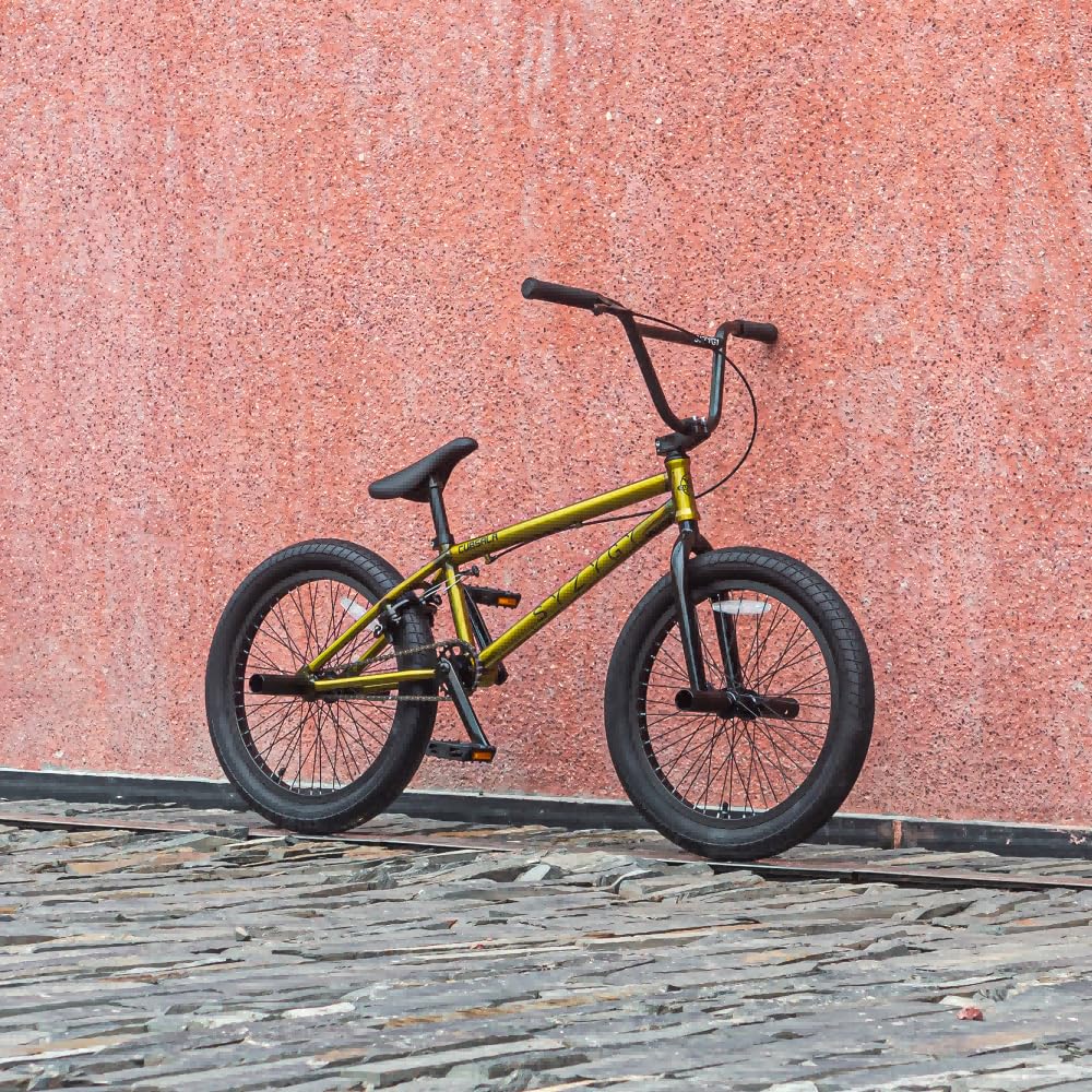 Amazon.com : cubsala Syzygy 20 Inch Freestyle BMX Bike Bicycles