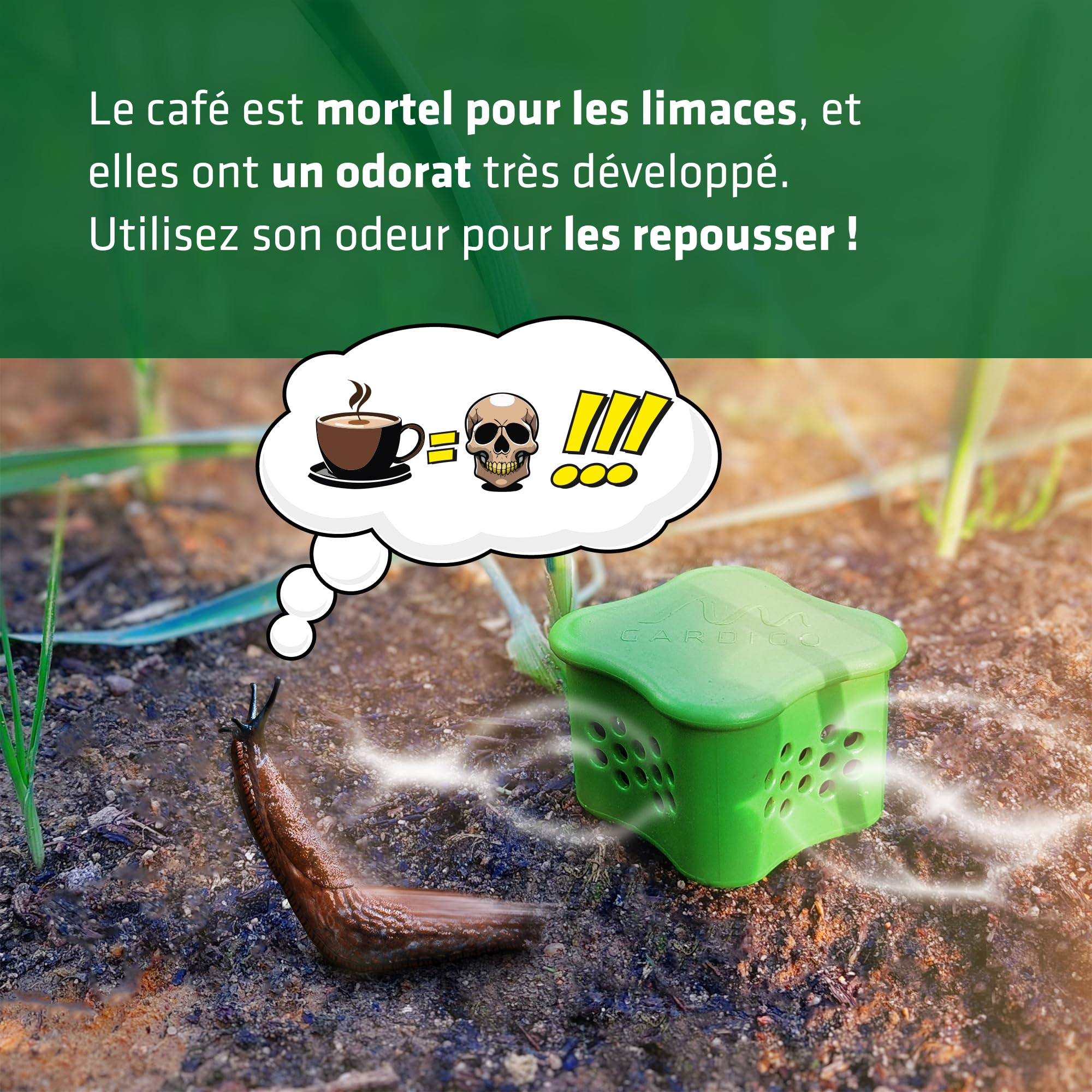 Lot De 6 Piquets Répulsifs Anti-limaces Gardigo - À Remplir Avec Marc De Café, écologique, Résistant à La Pluie Kit Jardin Sans Produits Chimiques