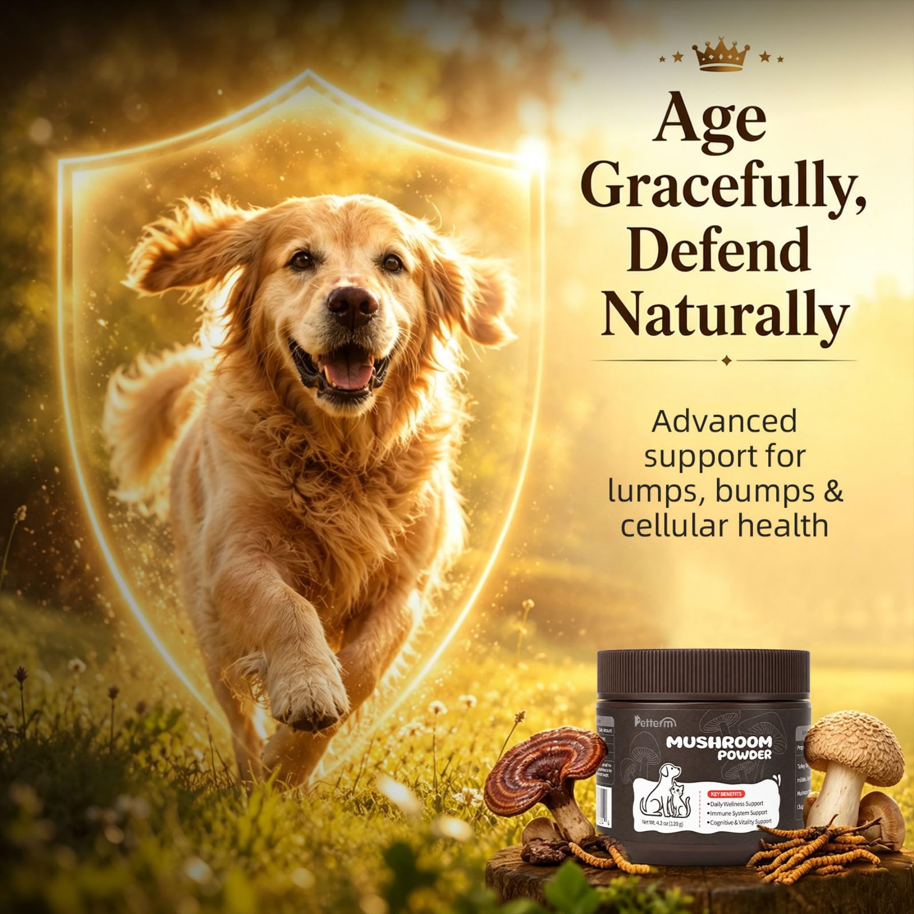 Turkey Tail Mushroom Powder for Dogs & Cats, 11 Mushroom Immune Supplement — Amazon image 7