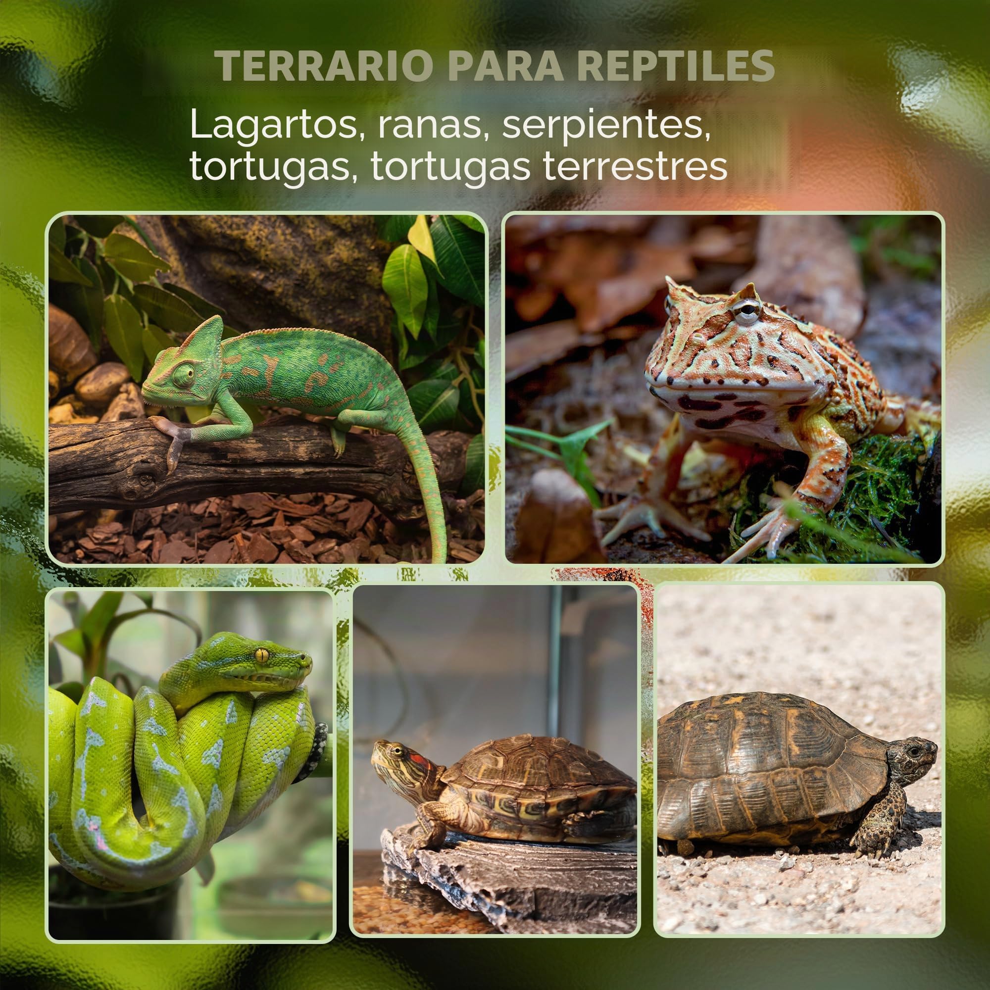 PawHut Terrario para reptiles, terrario de cristal, 24 l, caja de alimentación con ventilación frontal, cierre de rosca irrompible para anfibios, araña, color negro, 30 x 30 x 30 cm