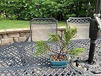 Review Image by Mark Deee Mark Deee