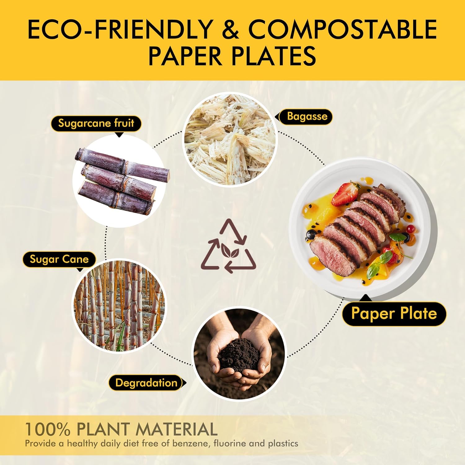 RACETOP Disposable Compostable Paper Plates 9 Inch [125 Pack], White Bagasse, Heavy-Duty Biodegradable Paper Plates, Eco-Friendly, Made of Natural Sugarcane Fibers - Image 3