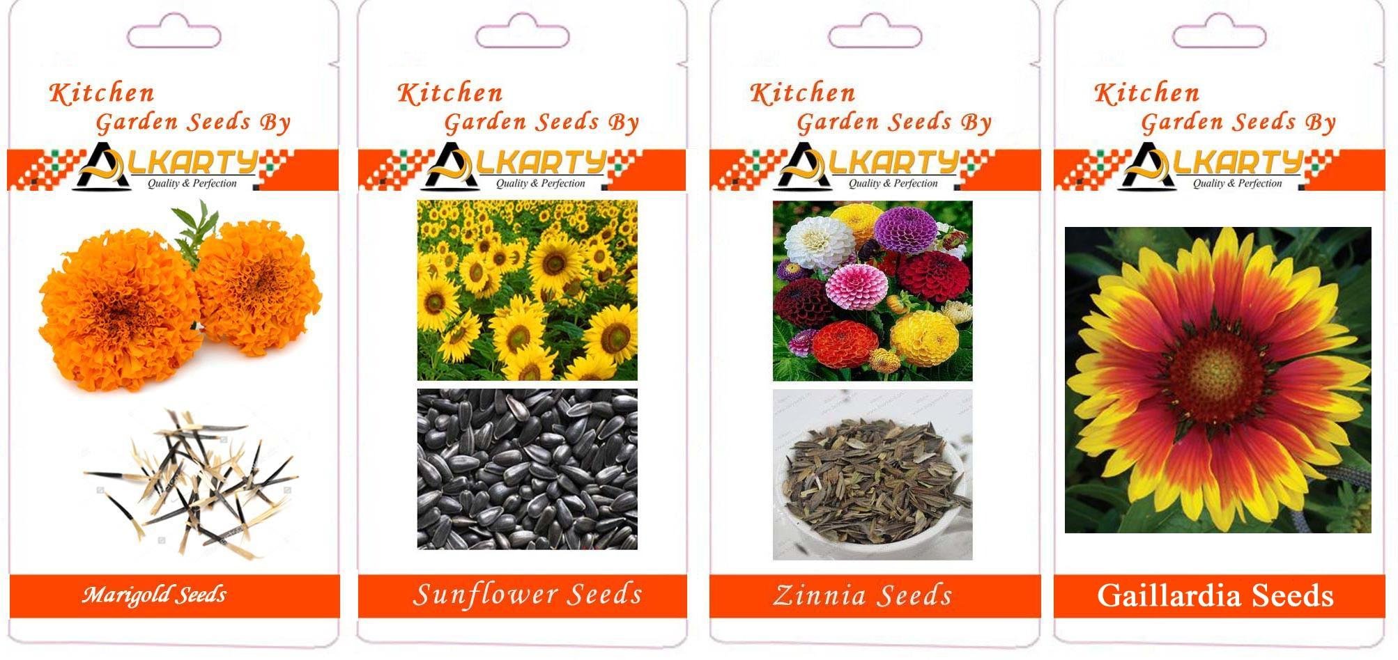Marigold, Sunflower, Zinnia, Gaillardia Summer Flower Seeds Pack of 20 Each-image-16