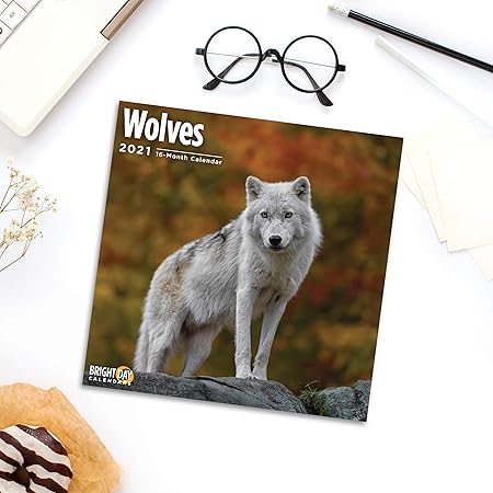 Amazon Bright Day Calendars 21オオカミの壁カレンダー バイ 明るい日 12 X 12 インチ かわいい野生動物のオオカミ 手帳 カレンダー 文房具 オフィス用品 Amazon Bright Day Calendars 21オオカミの壁カレンダー バイ 明るい日 12 X 12 インチ かわいい野生動物のオオカミ 手帳 カレンダー 文房具 オフィス用品