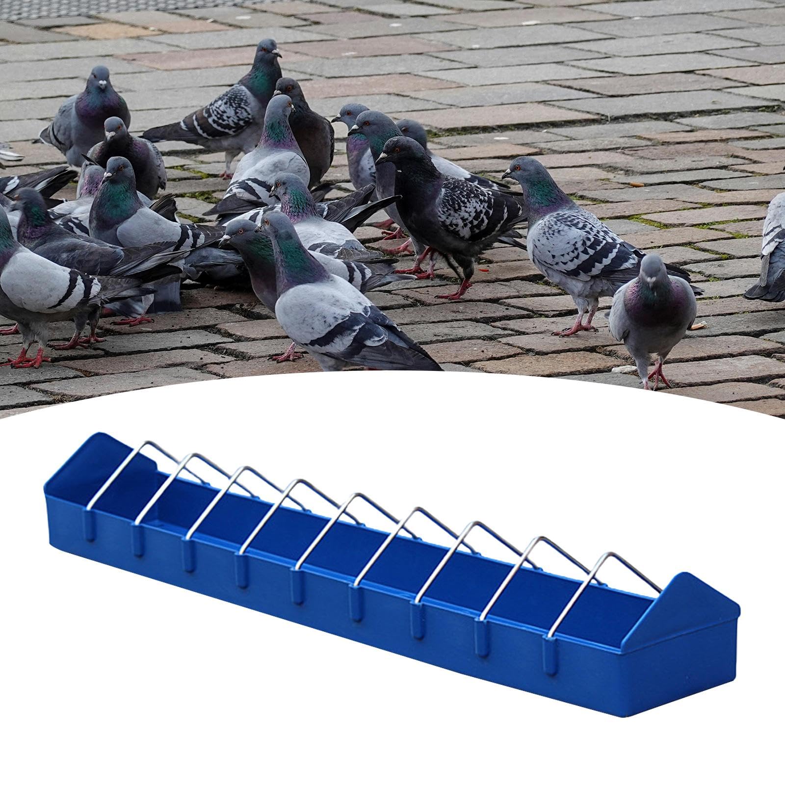 Mangiatoia per Piccioni, Mangiatoia per Uccelli, Mangiatoia per, Abbeveratoio per