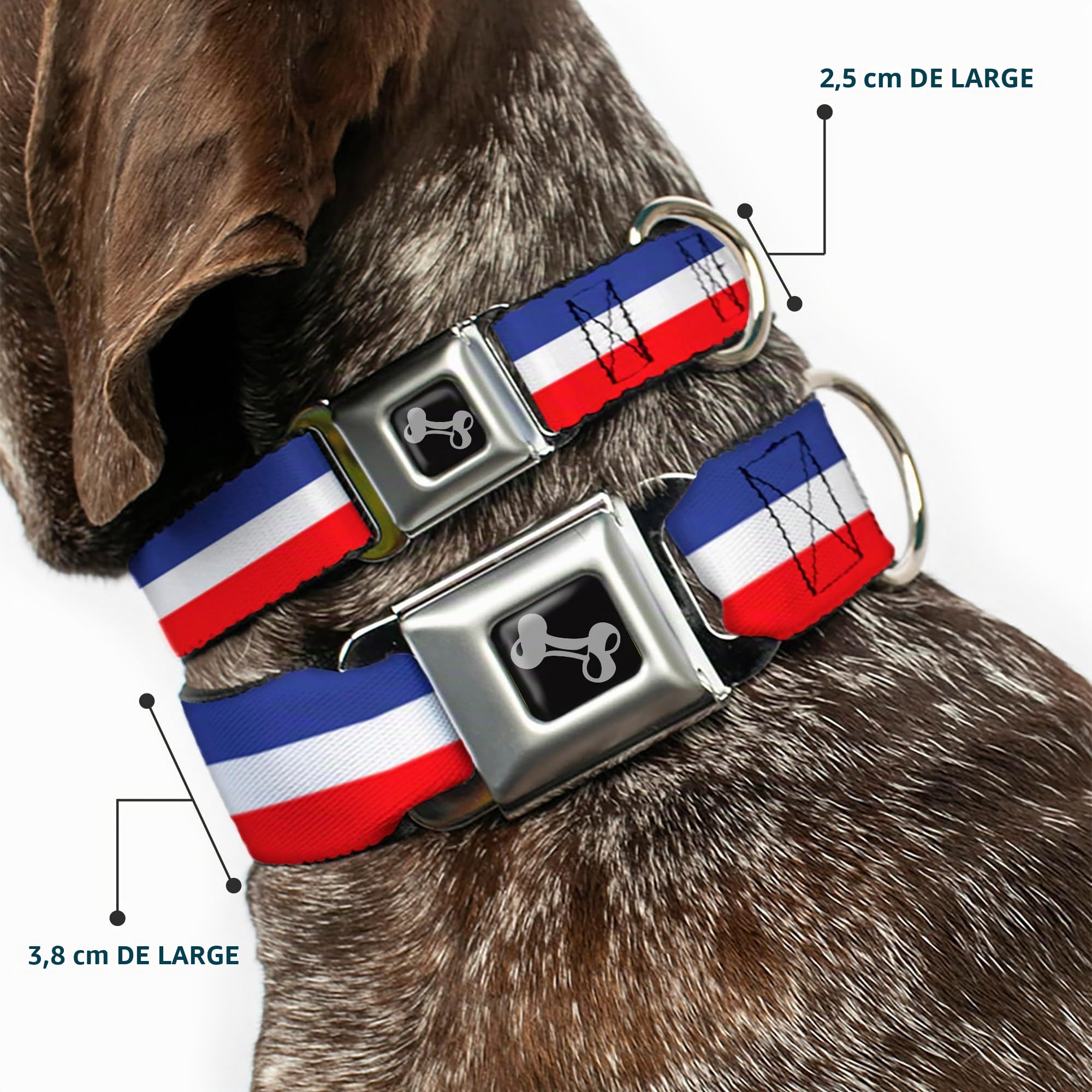 Buckle Down 9–38,1 cm Rayures Rouge/Blanc/Bleu Collier de Chien en Forme d'os, Petite