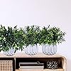 Product Photo 8