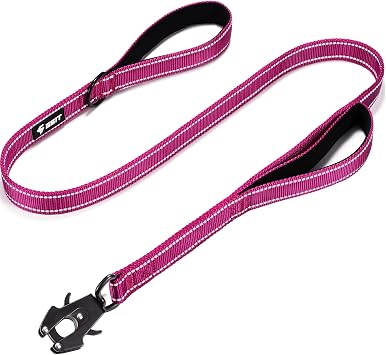 GEIT 2 Padded Handles Heavy Duty Dog Leash for Small Medium and Large Dogs