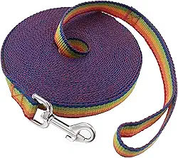 SALO Coleira de treinamento de nylon para cães pequenos, médios e grandes, 2,5 cm de largura, 6 m, 9 m, 12,2 m, 15,2 m, guia longa para cães/filhotes de cachorro para treinamento de recordação de