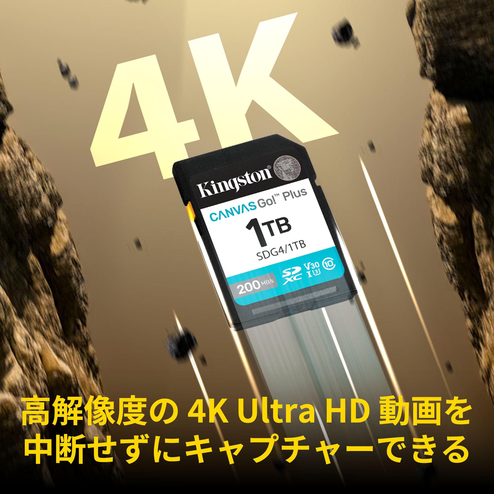 Amazon.co.jp: Kingston 64GB SDXC Canvas Go Plus Gen4 200MB/s C10