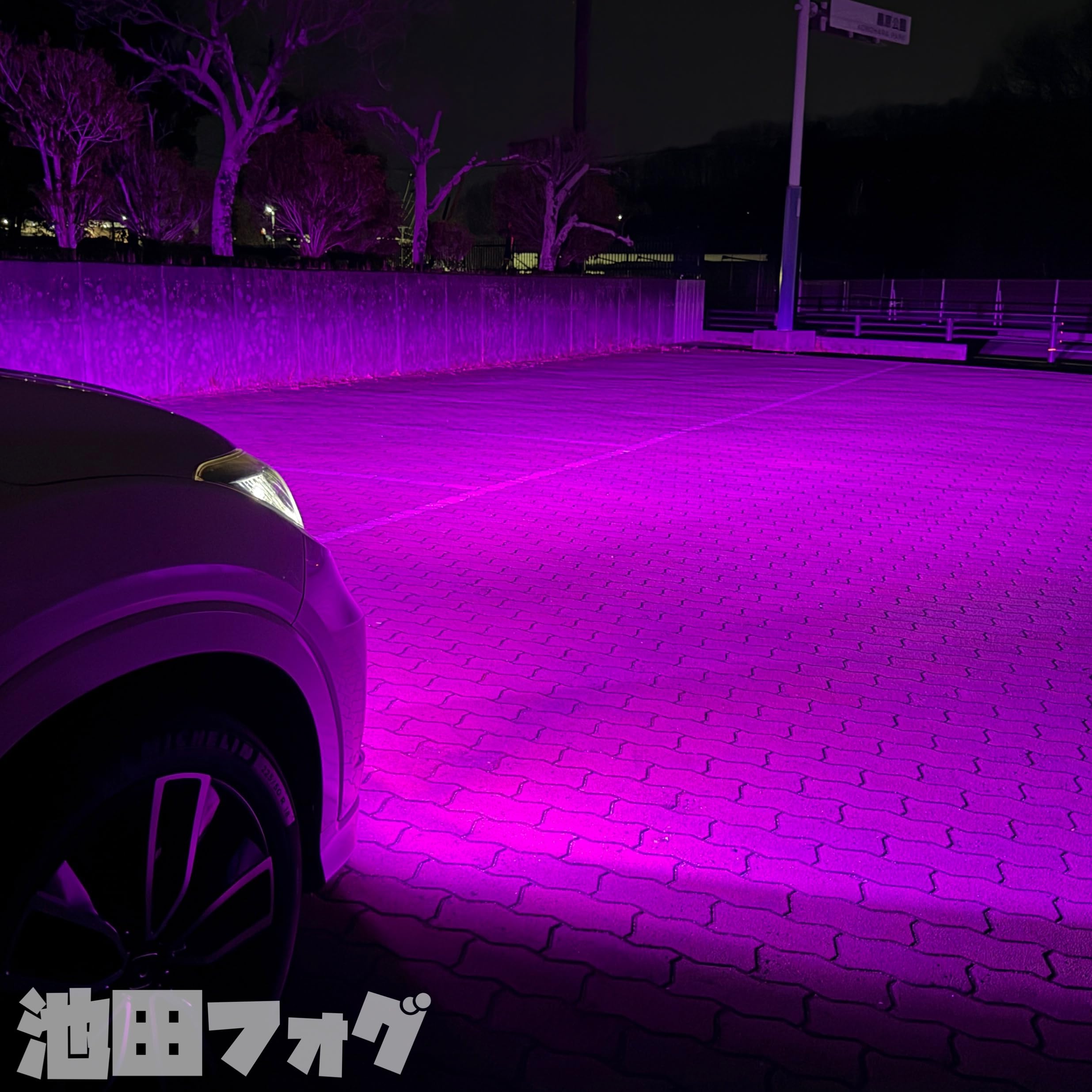 Amazon.co.jp: 爆光 パープルピンクフォグランプ H8/H11/H16 HB4