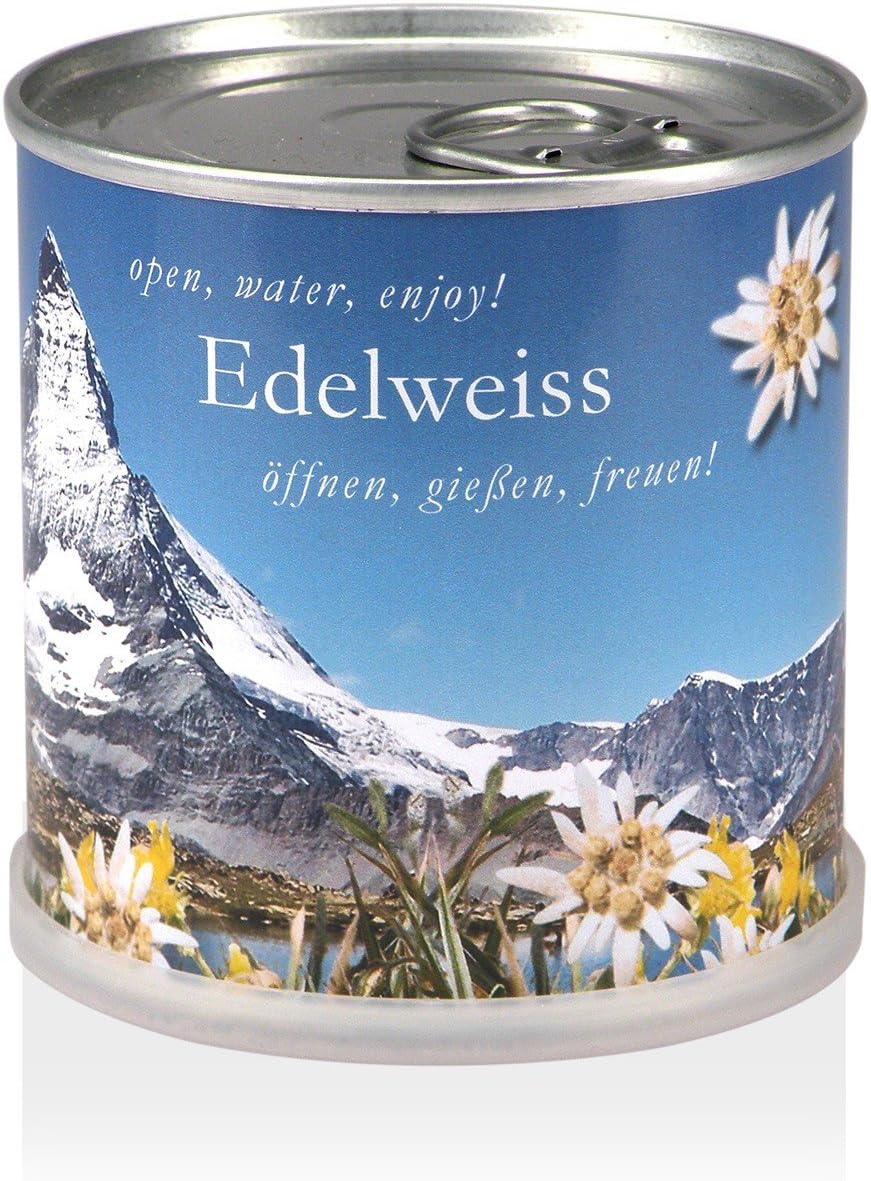 Extragifts Flowers in a Tin - Edelweiss