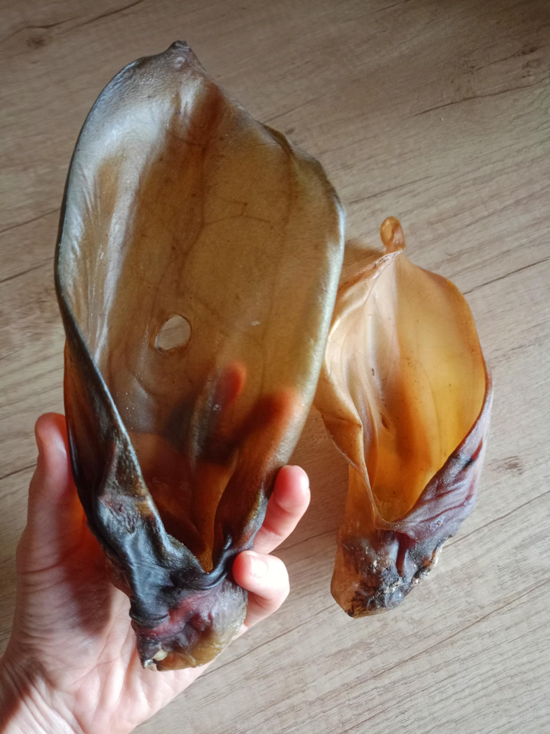 Oreilles de bœuf pour chiens XXL 15-22 cm avec petit coquillage 3 kg Produit à mâcher pour chien sans fourrure 100 % naturel Lucze