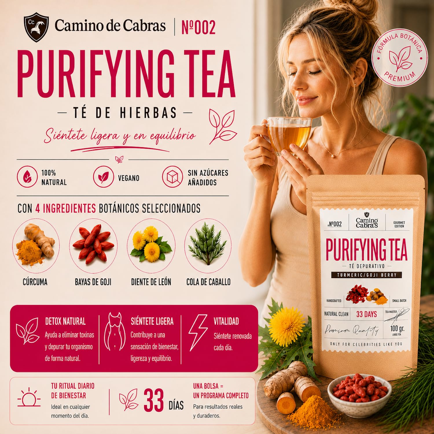 DETOX | Té Depurativo | Infusión drenante con efecto diuretico | Te Verde, Cola de Caballo, Diente de León, Curcuma, Jengibre, Bayas de Goji, Piña | Antioxidante Natural 100g