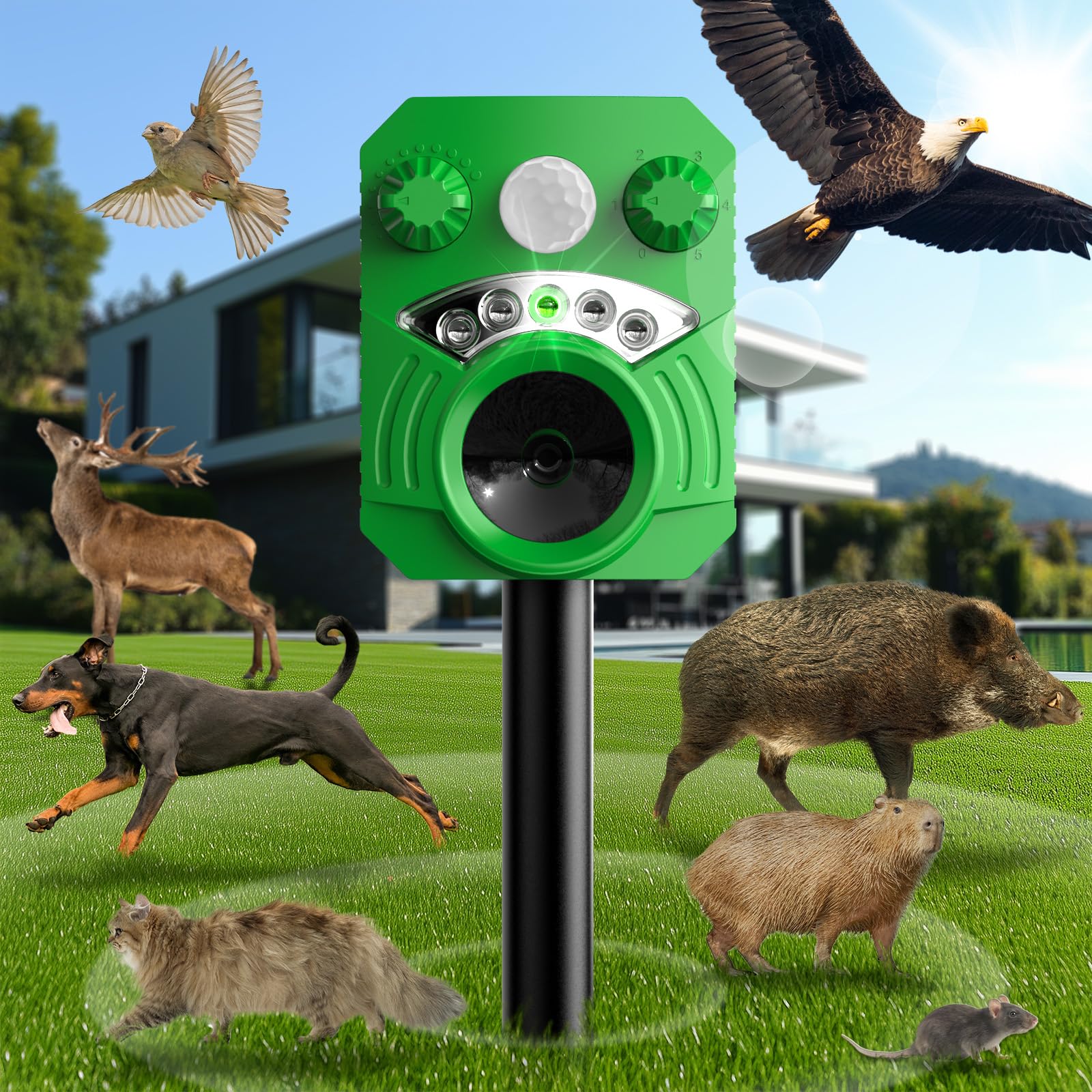 Katzenschreck, Ultraschall, 5 Modi, wasserdicht, für den Außenbereich