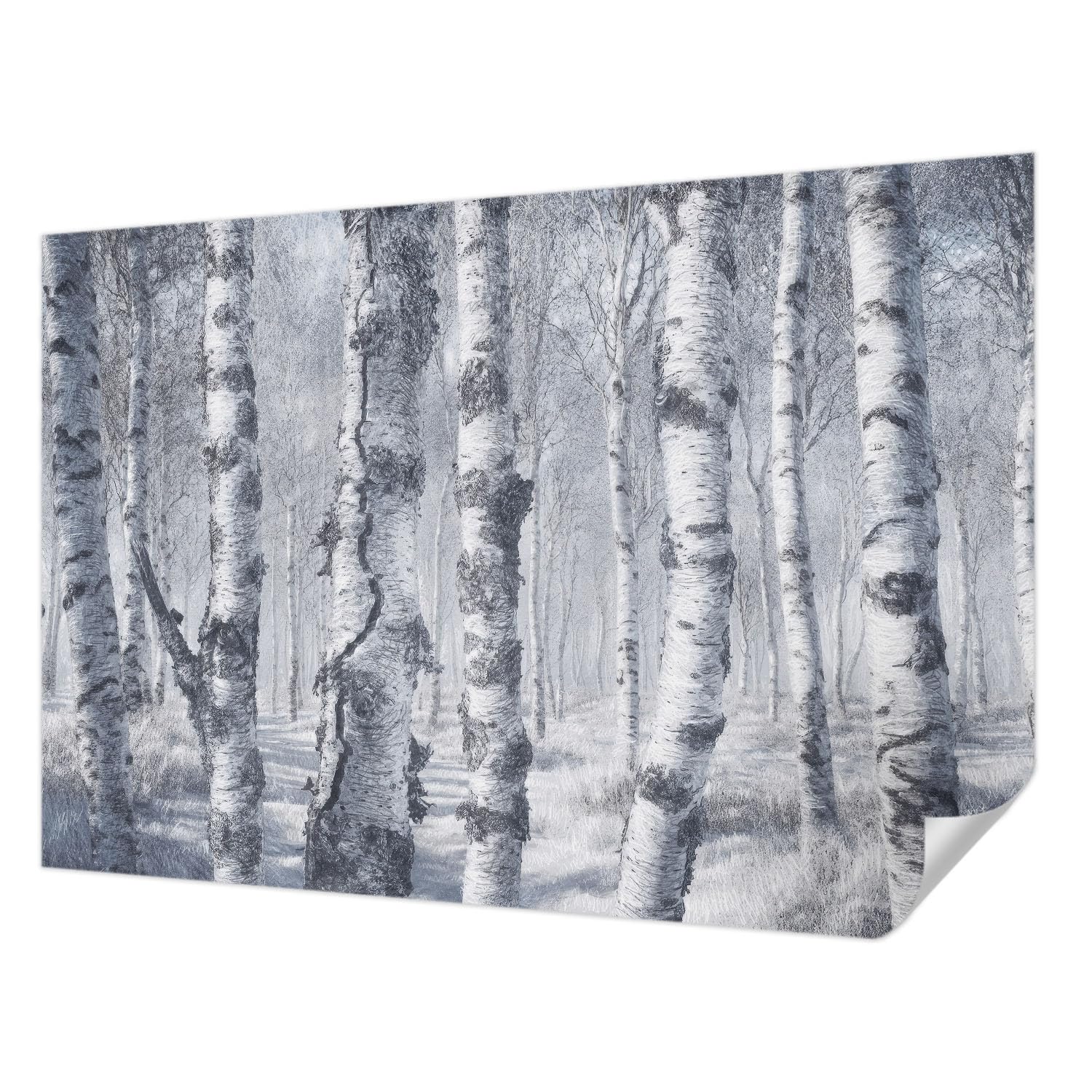 Papel tapiz autoadhesivo 152x104 cm con diseño fotográfico de naturaleza helada