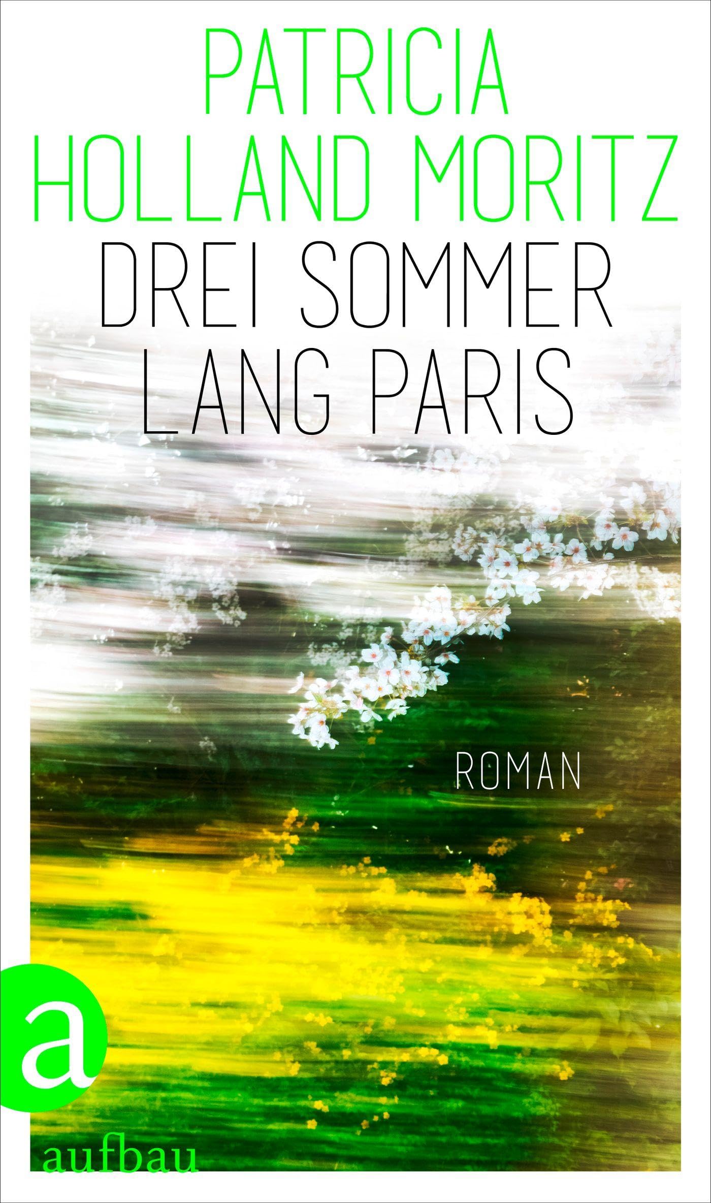 Drei Sommer lang Paris: Roman