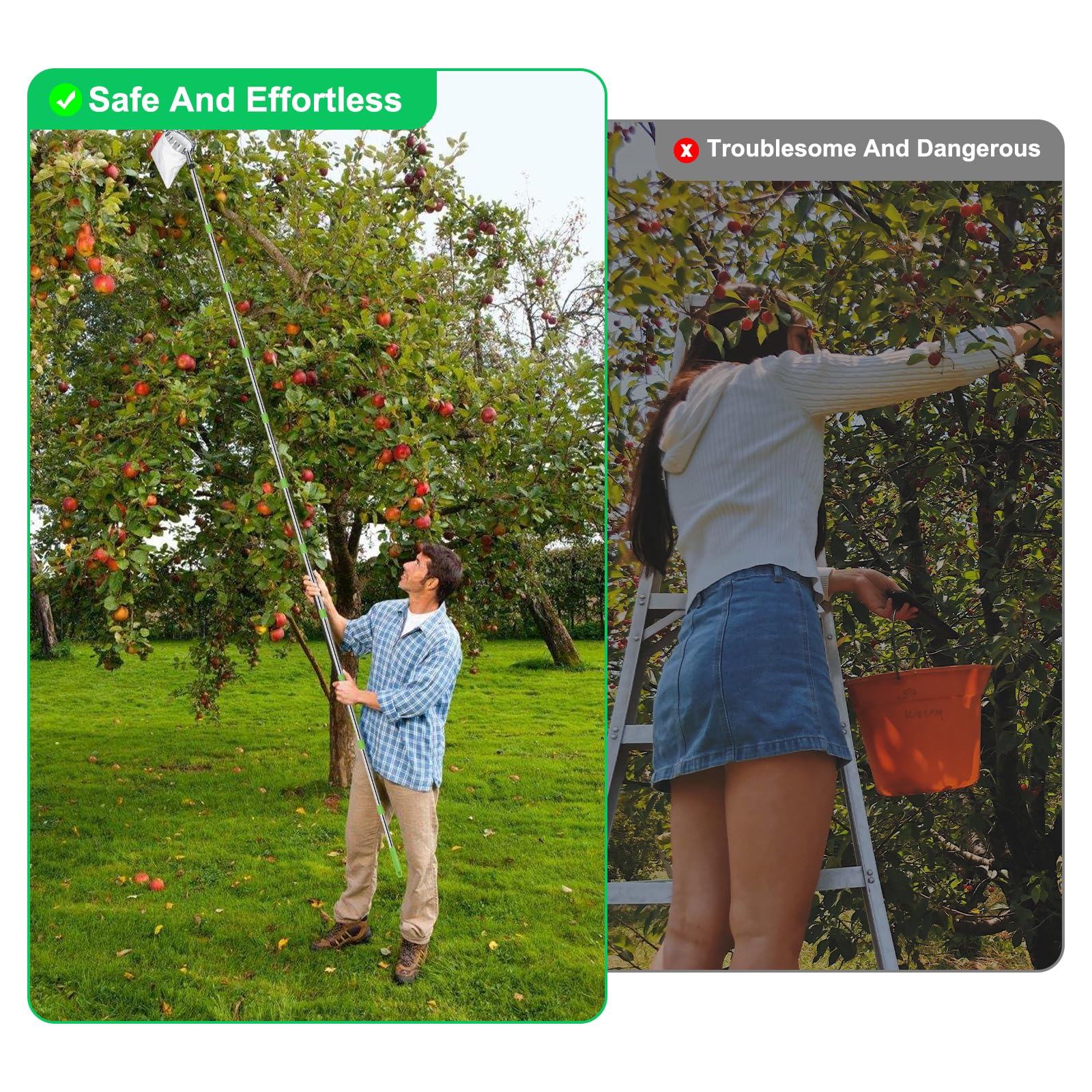 Cueilleur de Fruits avec Manche Télescopique 4 m pour Verger Jardin Pommes Cerises