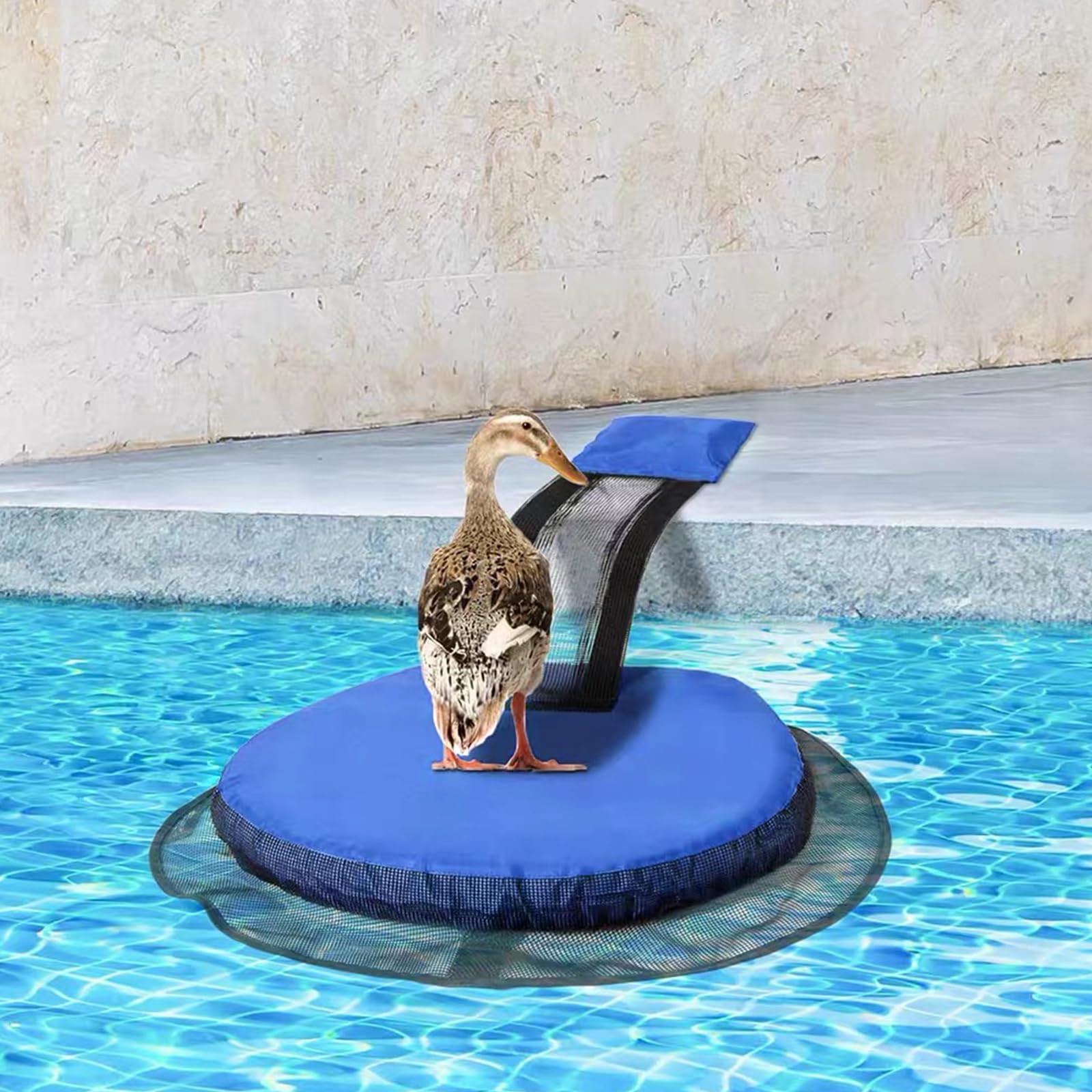 Qooloo Rampa de Rescate para Piscina, Rescate de Animales, Accesorio de Salida