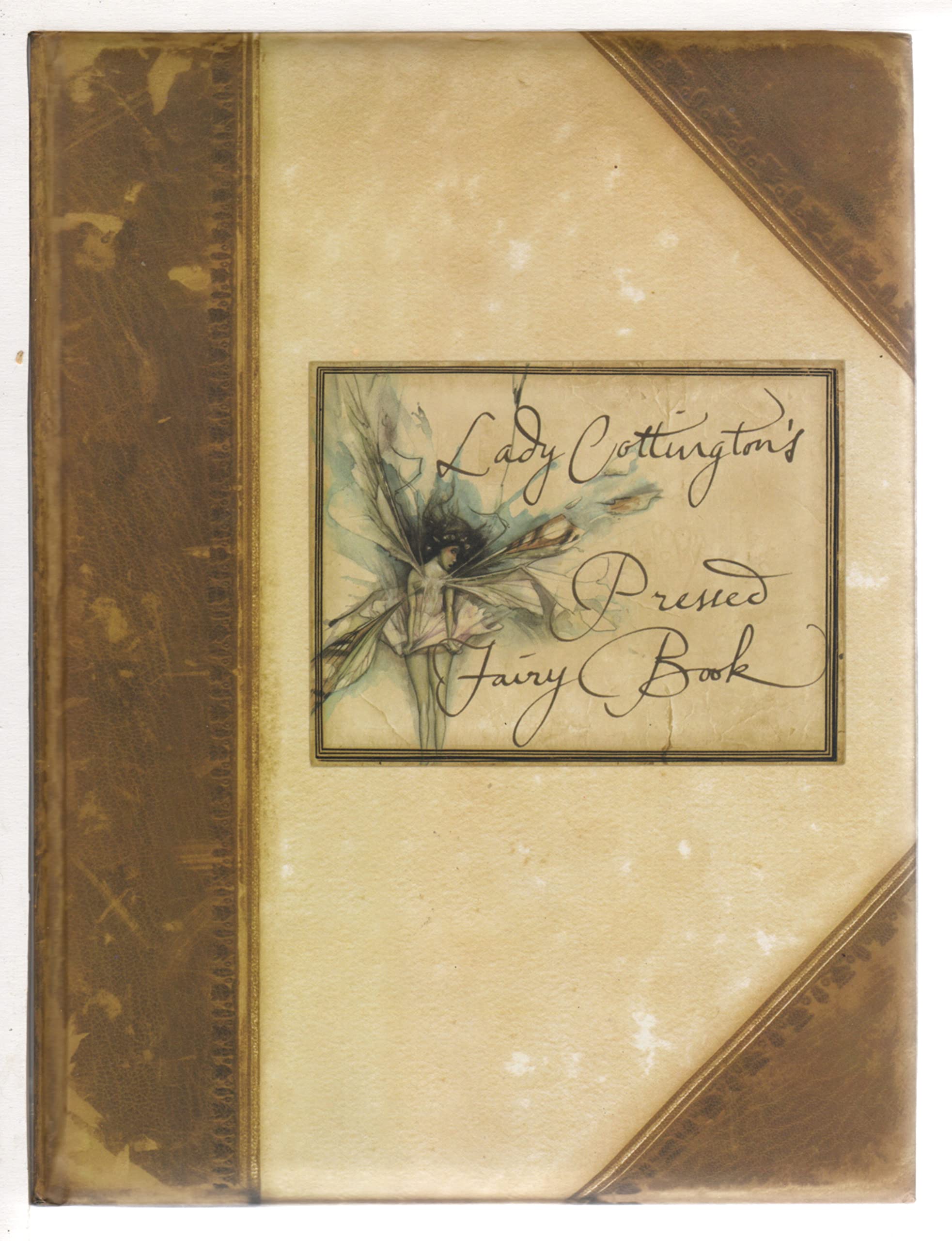 絵本 LADY COTTINGTON PRESSED FAIRYJOURNAL 81iM0haMiPL._UF350,350_QL50_.jpg